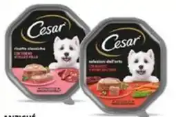 Tigros Patè per cane CESAR offerta