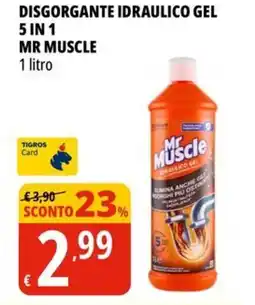 Tigros Disgorgante idraulico gel 5 in 1 MR MUSCLE offerta
