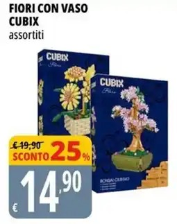 Tigros Fiori con vaso CUBIX offerta