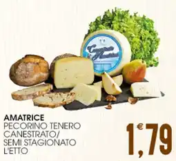 SpesAmica Amatrice pecorino tenero canestrato/ semi stagionato l'etto offerta