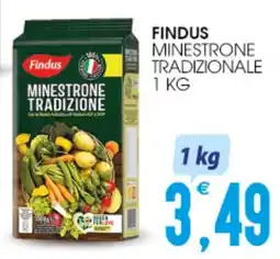 SpesAmica Findus minestrone tradizionale offerta
