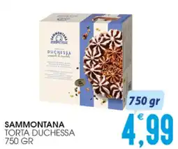 SpesAmica Sammontana torta duchessa offerta