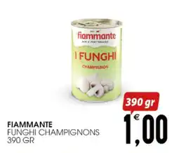 SpesAmica Fiammante funghi champignons offerta
