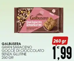 SpesAmica Galbusera gran saraceno gocce di cioccolato senza glutine offerta