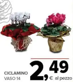 Todis Ciclamino vaso 14 offerta