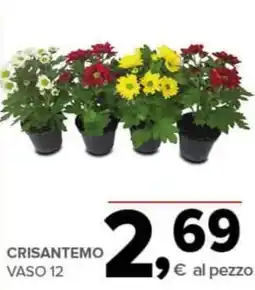 Todis Crisantemo vaso 12 offerta