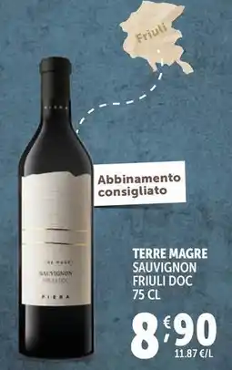 Deco Supermercati Terre magre sauvignon friuli doc offerta