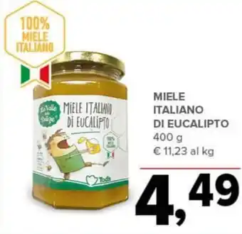Todis Miele italiano di eucalipto offerta