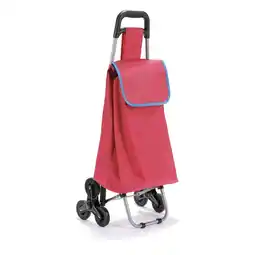 Ipercoop CARRELLO SPESA SALISCALE COOP offerta