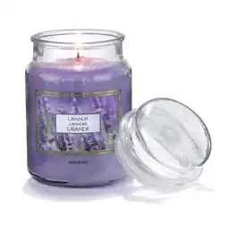 Ipercoop LINEA CANDELE PER AMBIENTE IN ZUCCHERIERA GRANDE offerta