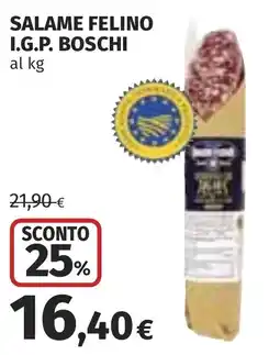 Coop Salame felino i.g.p. boschi offerta