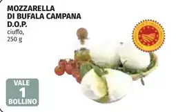 Coop Mozzarella di bufala campana offerta