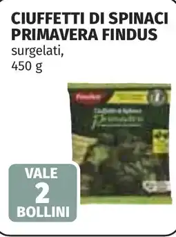 Coop Ciuffetti di spinaci primavera FINDUS offerta