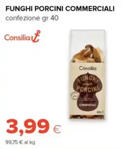 Tigre Consilia funghi porcini commerciali offerta