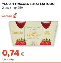 Tigre Consilia yogurt fragola senza lattosio offerta