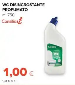 Tigre Consilia wc disincrostante profumato offerta
