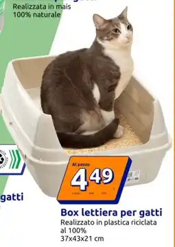Action Box lettiera per gatti offerta