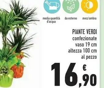 Conad Piante verdi offerta