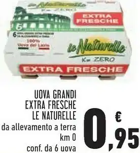 Conad 6 uova grandi fresche da allevamento a terra offerta