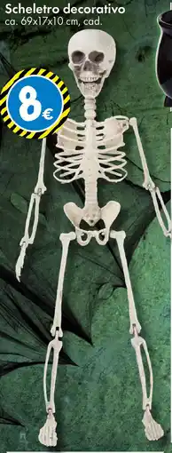 Tedi Scheletro decorativo offerta