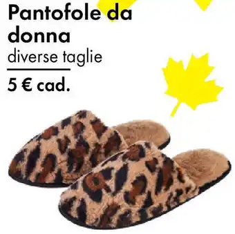Tedi Pantofole da donna offerta