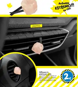 Tedi Diffusore in pietra per auto offerta