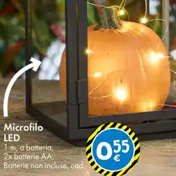Tedi Microfilo LED offerta