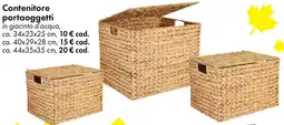 Tedi Contenitore portaoggetti offerta