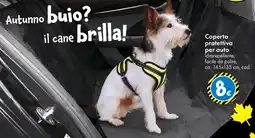 Tedi Coperta protettiva per auto offerta