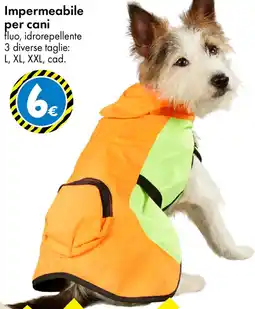 Tedi Impermeabile per cani offerta