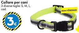 Tedi Collare per cani offerta