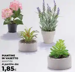 Extracoop PIANTINE IN VASETTO offerta