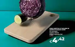 Extracoop Linea mestoli e taglieri in legno di faggio COOP offerta