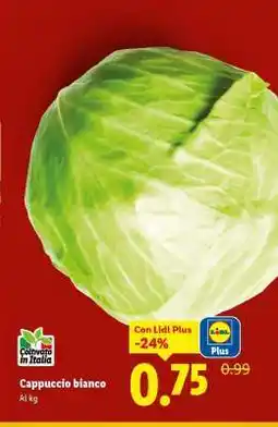 Lidl Cappuccio bianco offerta