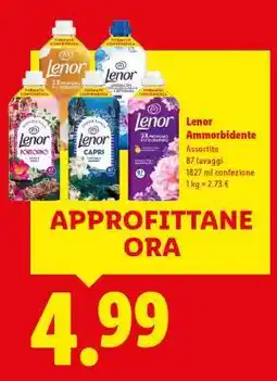 Lidl LENOR AMMORBIDENTE offerta