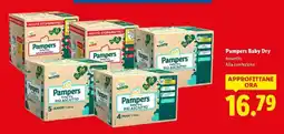 Lidl Pampers Baby Dry offerta