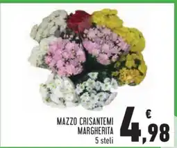 Conad Mazzo Crisantemi Margherita offerta