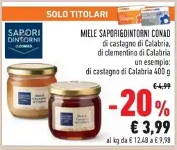 Conad Miele Sapori&Dintorni Conad offerta