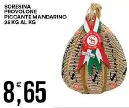 Vantaggio Cash&Carry Soresina provolone piccante mandarino offerta