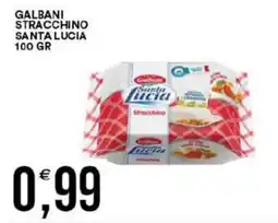 Vantaggio Cash&Carry Galbani stracchino santa lucia offerta