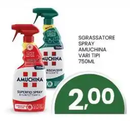 Despar Sgrassatore spray AMUCHINA offerta