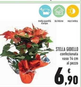 Conad Superstore Stella gioiello offerta