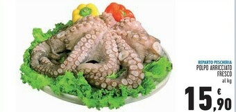 Conad Superstore Polpo arricciato fresco offerta