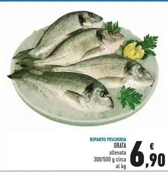 Conad Superstore Orata allavata offerta