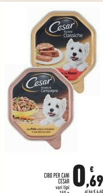 Conad Superstore Cibo per cani offerta