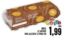 Iper Pellicano Mele le gustose uova allevate a terra x10 offerta