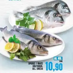 Iper Pellicano Spigole/orate all. grecia offerta