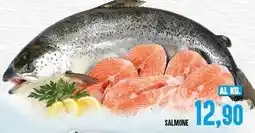Iper Pellicano Salmone offerta