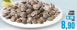 Iper Pellicano Lupini grandi offerta