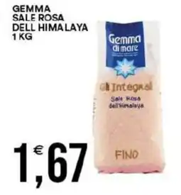 Vantaggio Cash&Carry Gemma sale rosa dell himalaya offerta